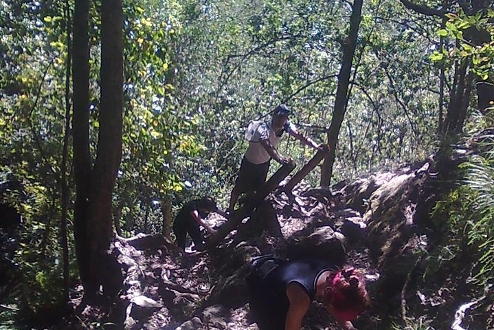 Skeleton Gorge to Maclears Beacon. Table Mountain hike - Photo 1 of 5